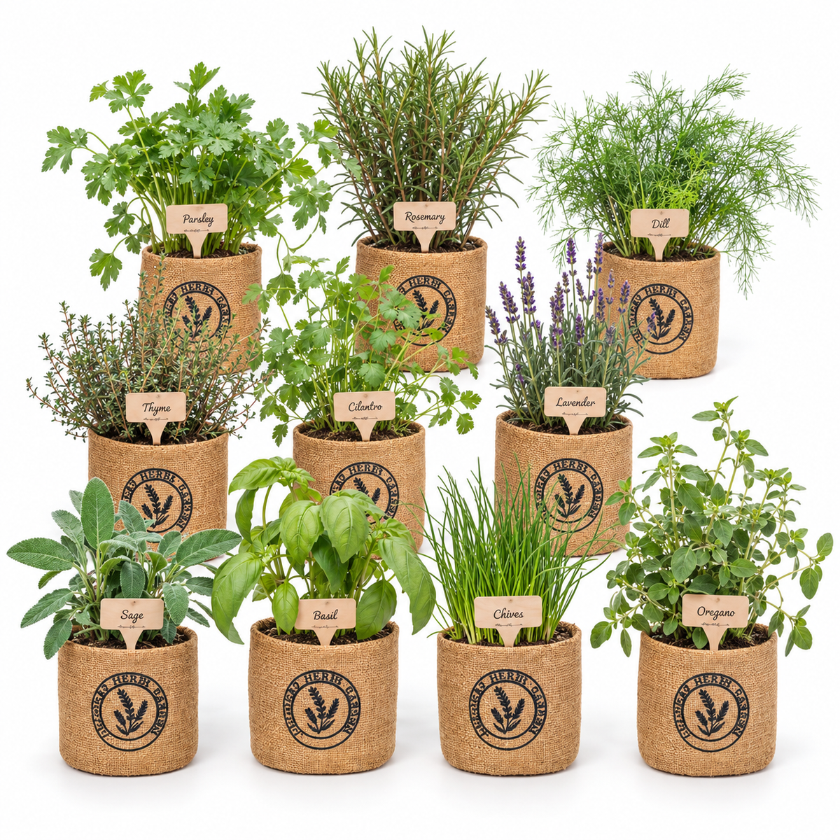 Burlap Pots · Organic Seeds