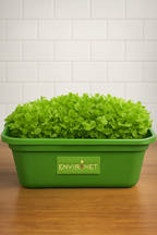 Home Microgreens Growing Kit