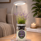 Lavender Hydroponic Herb Kit