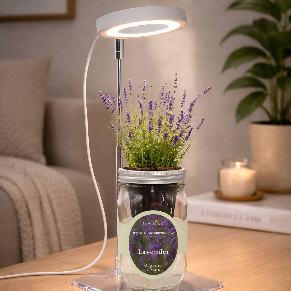Lavender Hydroponic Herb Kit