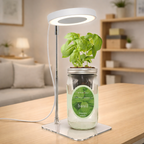 Basil Hydroponic Herb Kit