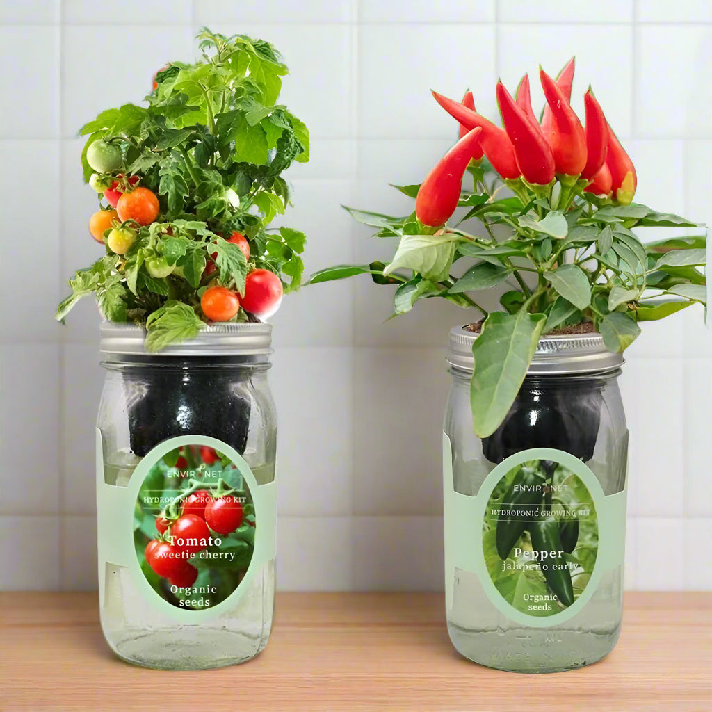 Veggie Duo (Sweetie Cherry Tomato & Pepper JalapeÃƒÂ±o Early)