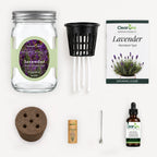 Lavender - Munstead-Type Hydroponic Kit (Organic Seeds)