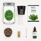 Mint - Superior Licorice Hydroponic Kit (Organic Seeds)