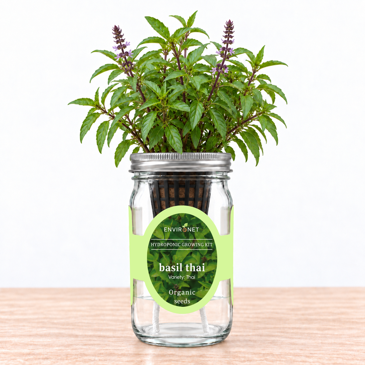 Basil - Thai Hydroponic Kit (Organic Seeds)