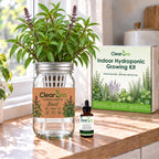 Basil - Thai Hydroponic Kit
