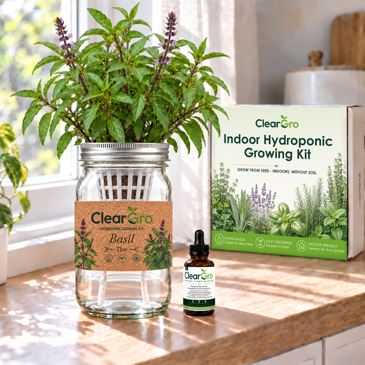 Basil - Thai Hydroponic Kit
