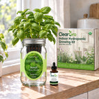 Basil - Genovese Hydroponic Kit (Organic Seeds)