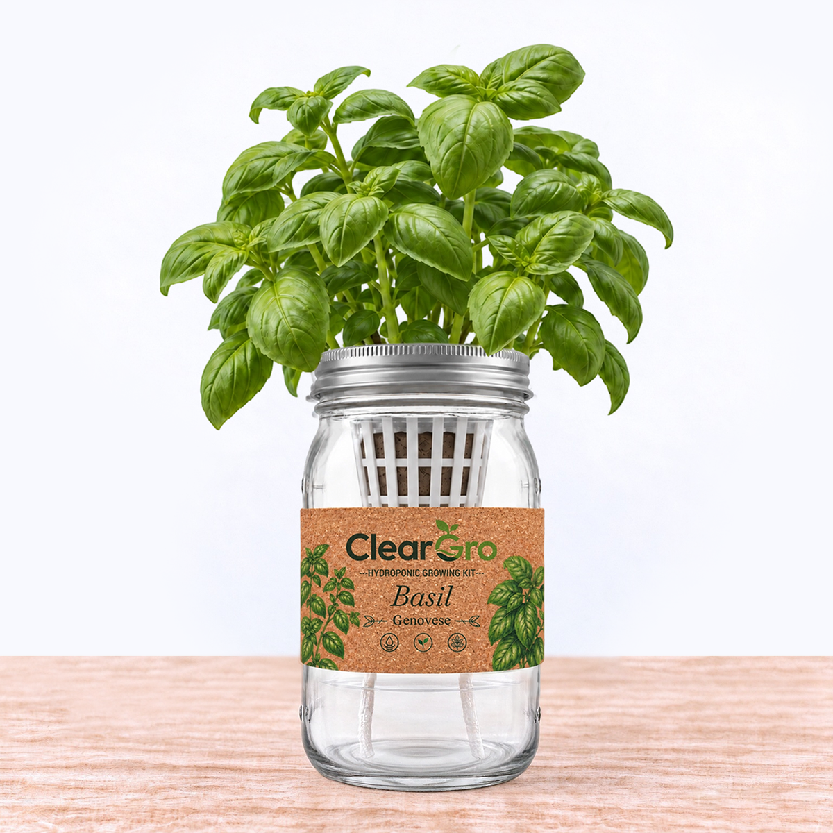 Basil - Genovese Hydroponic Kit