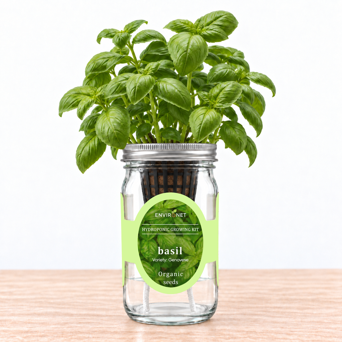 Basil - Genovese Hydroponic Kit (Organic Seeds)