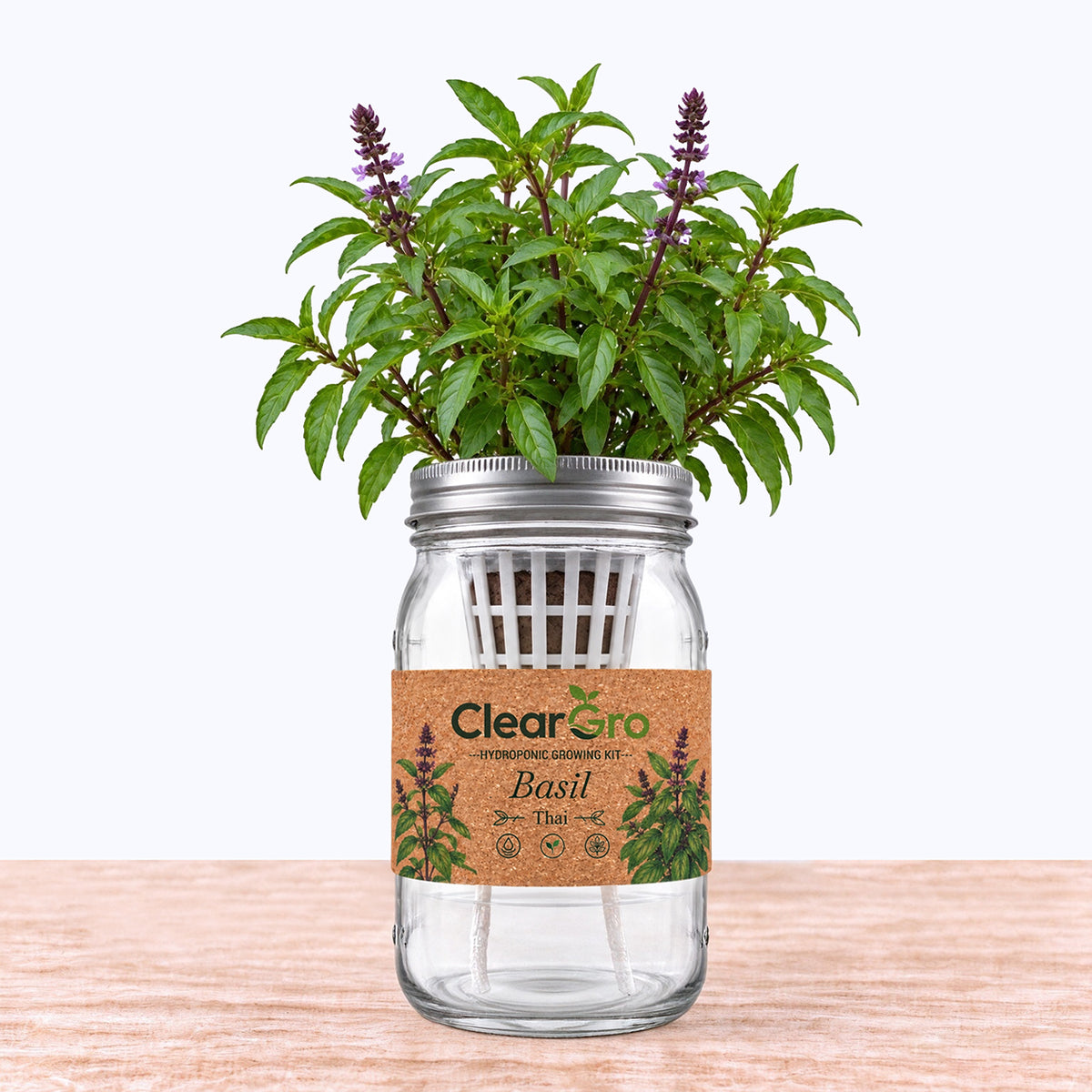 Basil - Thai Hydroponic Kit