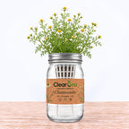 Chamomile - German Hydroponic Kit
