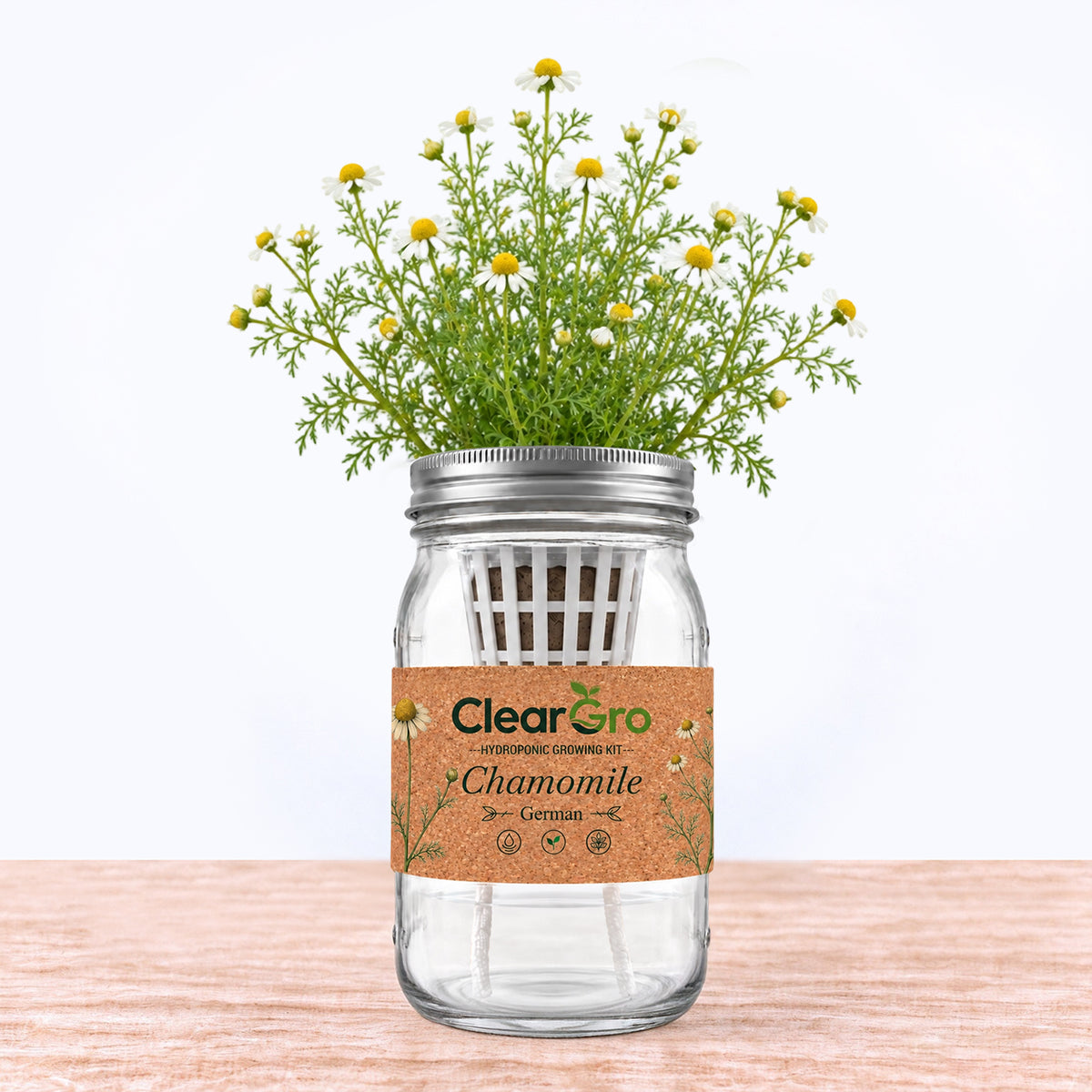 Chamomile - German Hydroponic Kit
