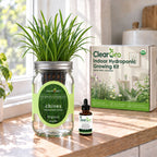 Chives - Garlic Chives Hydroponic Kit (Organic Seeds)