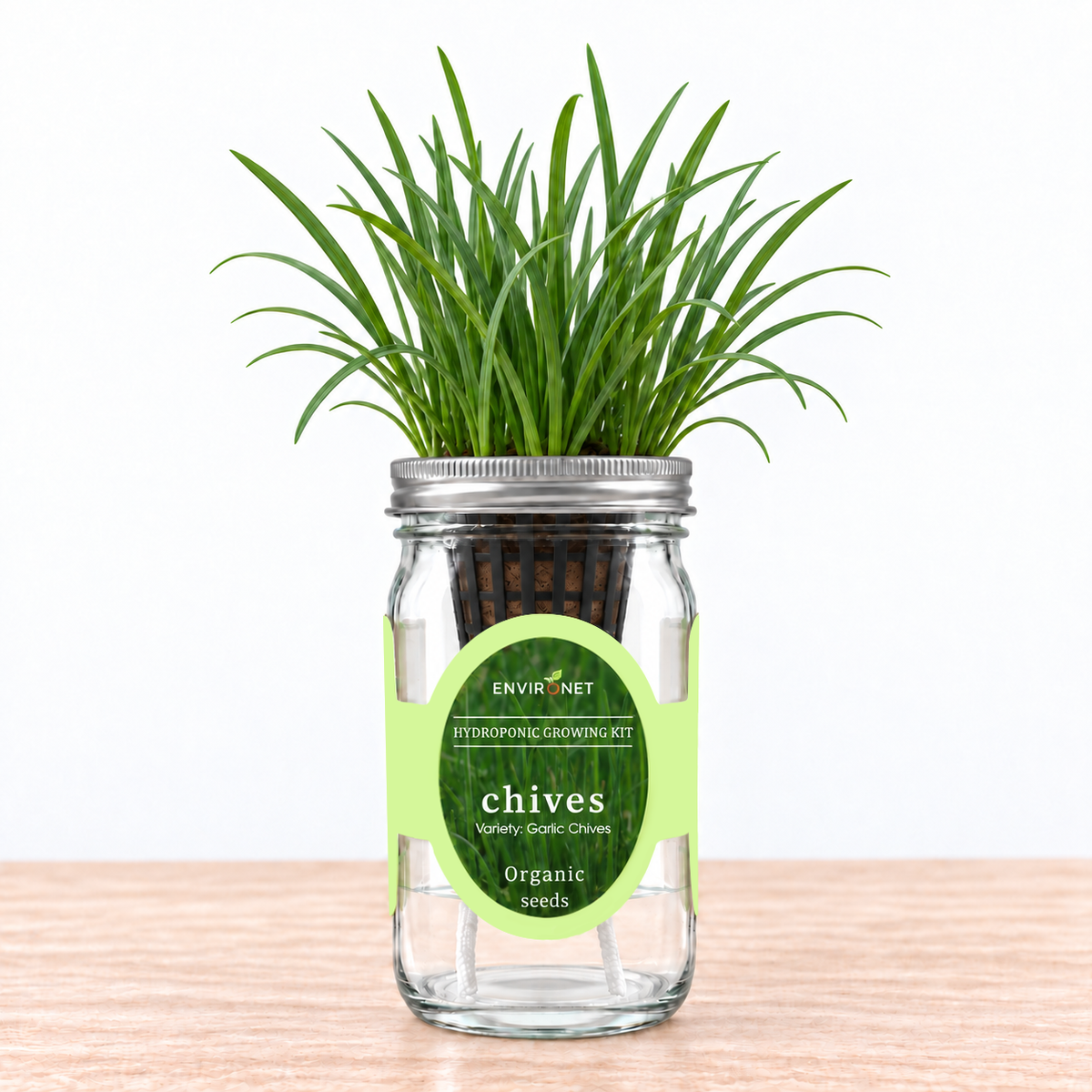 Chives - Garlic Chives Hydroponic Kit (Organic Seeds)