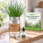 Chives - Garlic Chives Hydroponic Kit