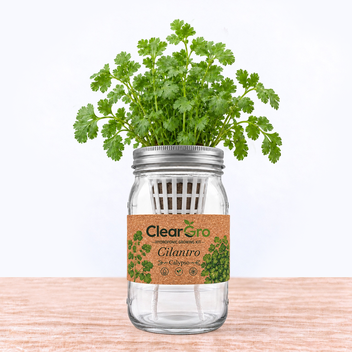 Cilantro - Calypso Hydroponic Kit