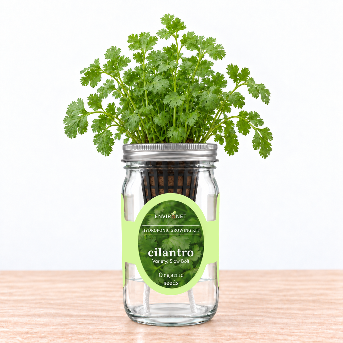 Cilantro - Slow Bolt Hydroponic Kit (Organic Seeds)