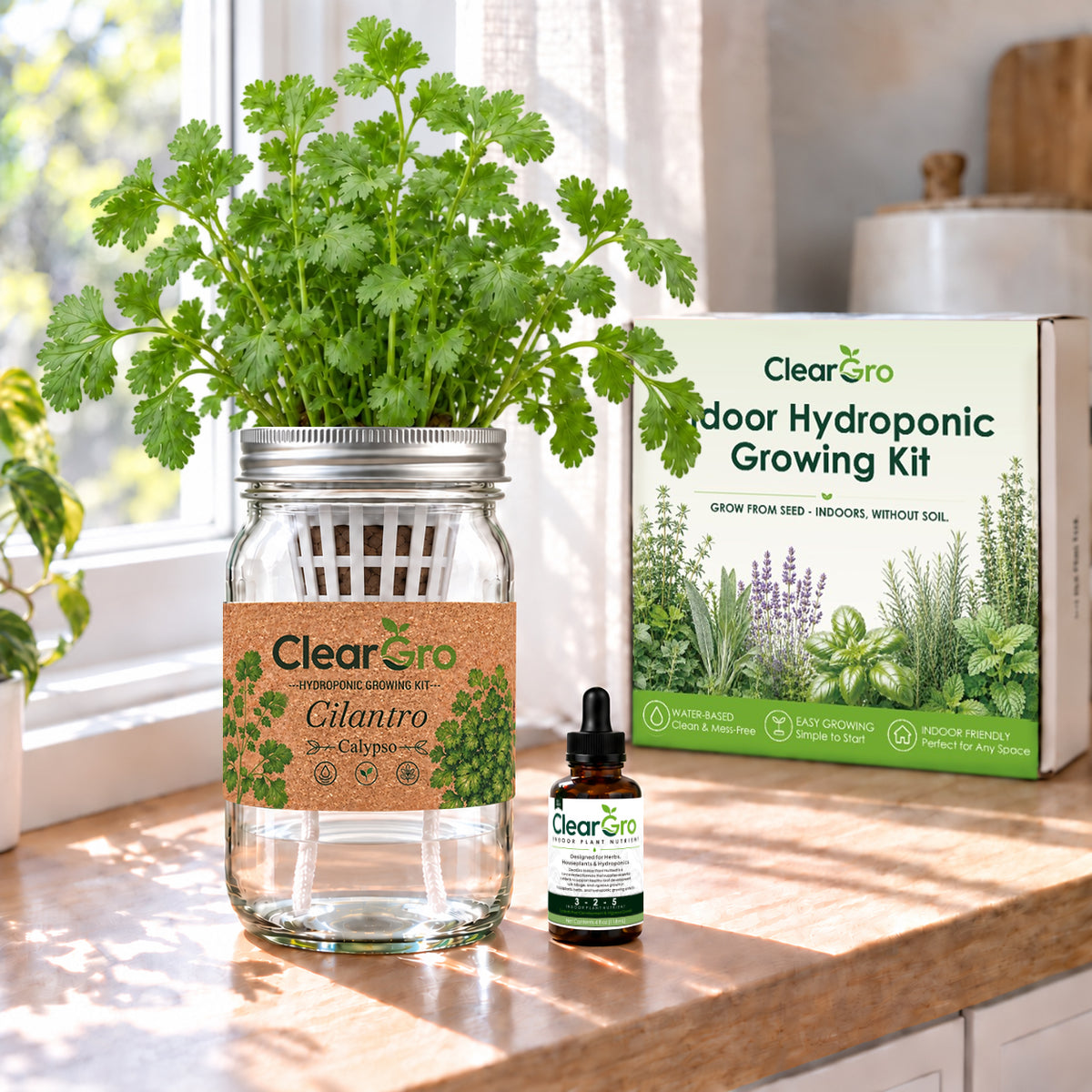 Cilantro - Calypso Hydroponic Kit