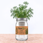 Dill - Bouquet Hydroponic Kit