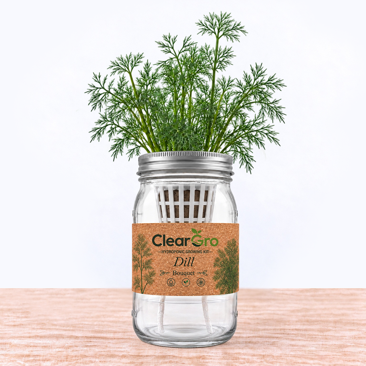 Dill - Bouquet Hydroponic Kit
