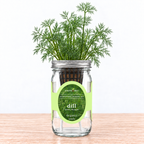 Dill - Bouquet Hydroponic Kit (Organic Seeds)