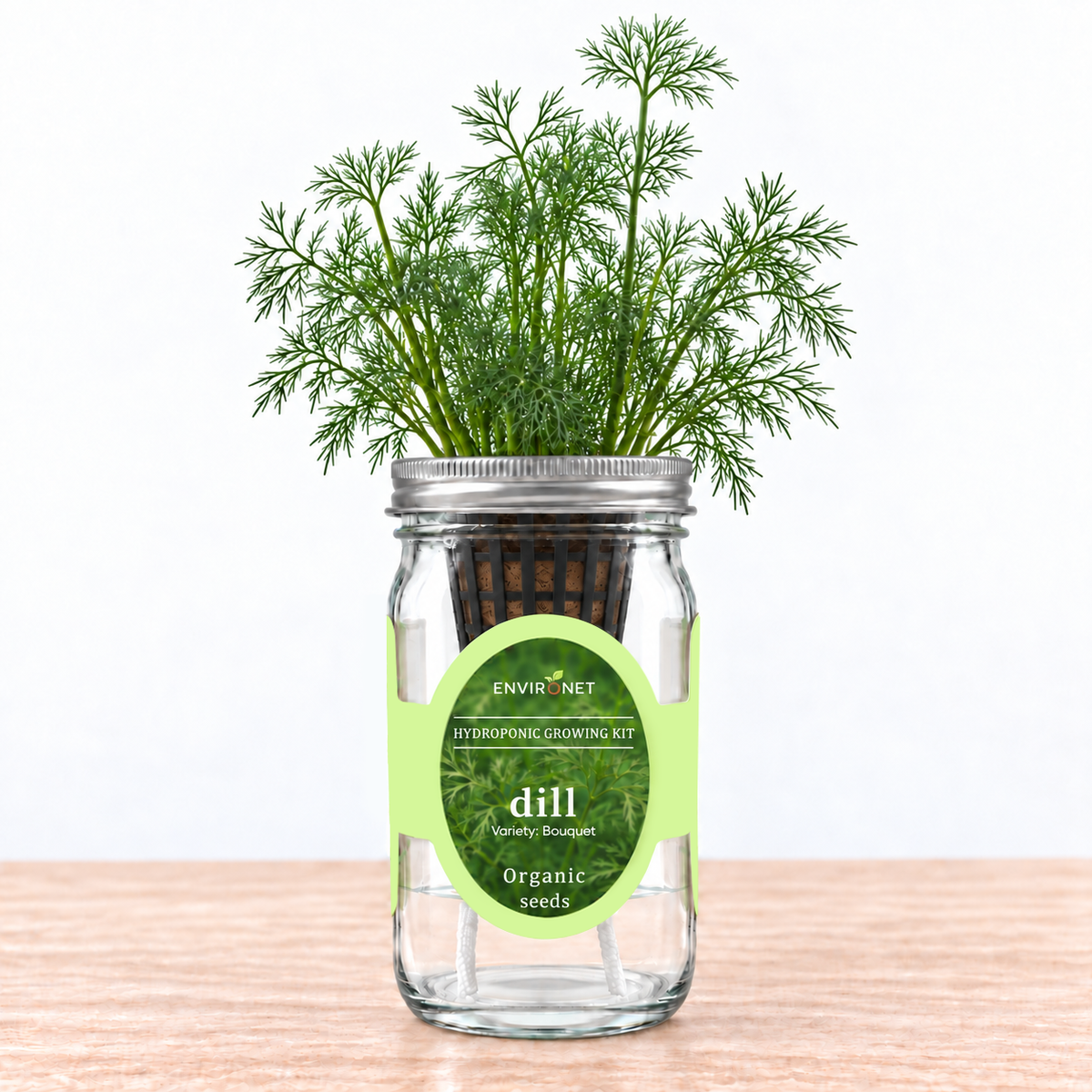 Dill - Bouquet Hydroponic Kit (Organic Seeds)