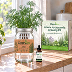 Dill - Bouquet Hydroponic Kit