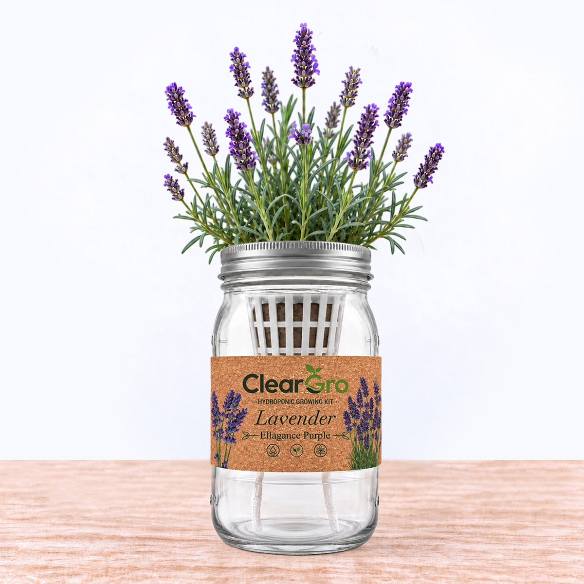 Lavender - Ellagance Purple Hydroponic Kit