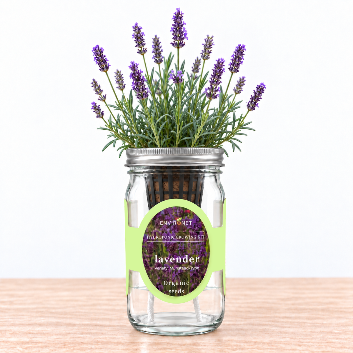 Lavender - Munstead-Type Hydroponic Kit (Organic Seeds)