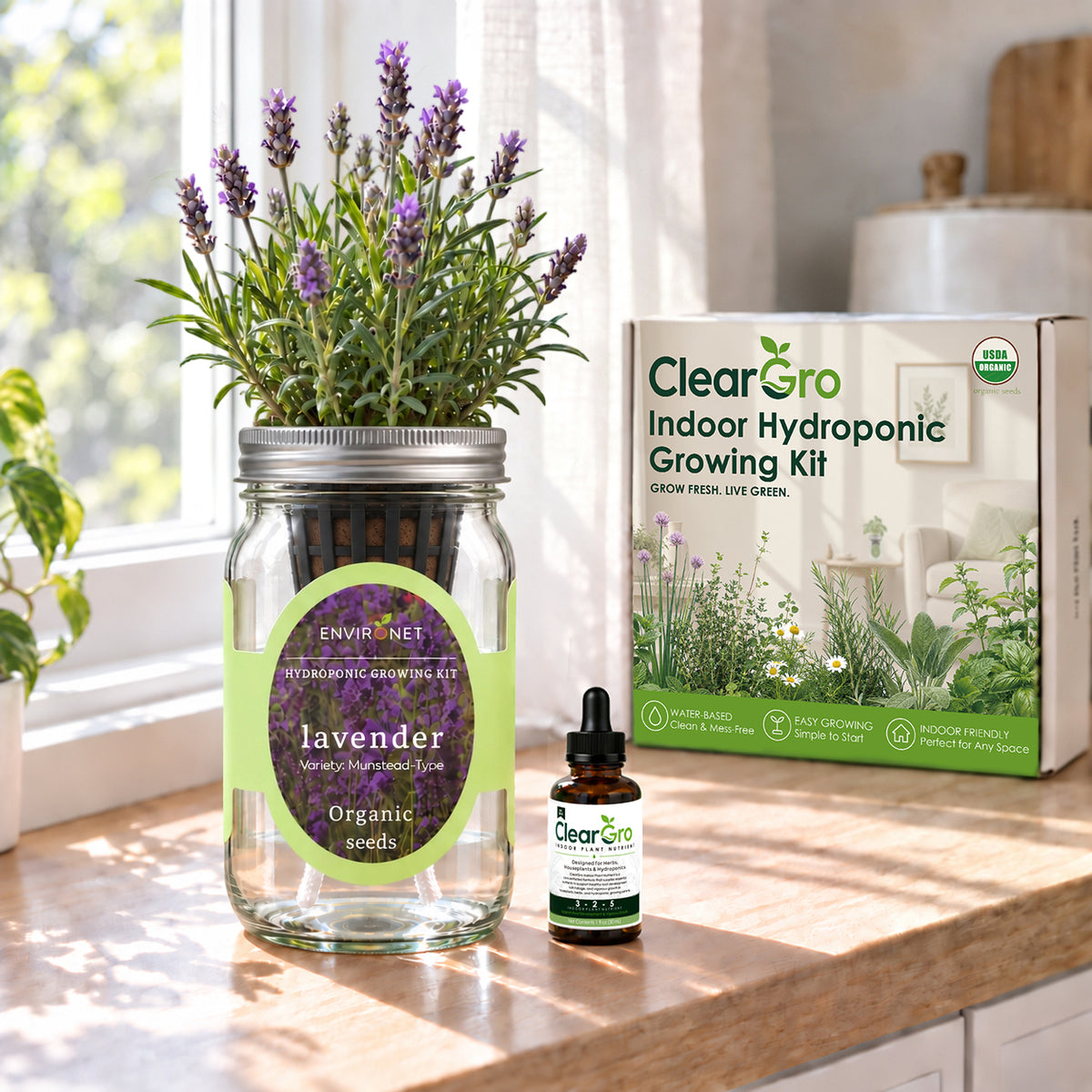 Lavender - Munstead-Type Hydroponic Kit (Organic Seeds)