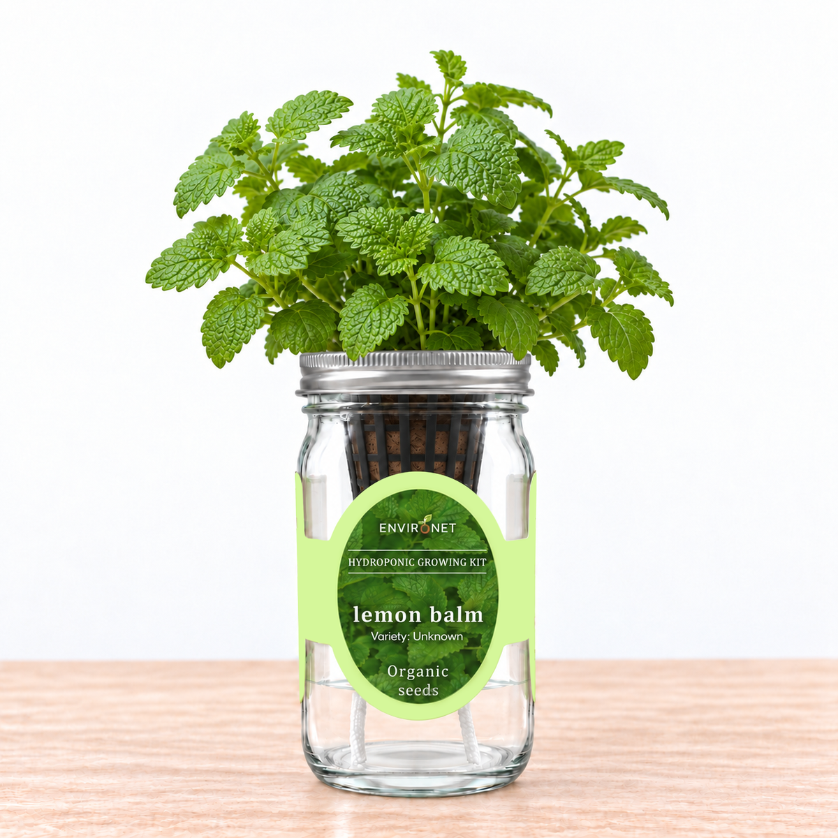 Lemon Balm - Hydroponic Kit (Organic Seeds)