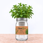 Mint - Common Mint Hydroponic Kit
