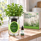 Mint - Superior Licorice Hydroponic Kit (Organic Seeds)