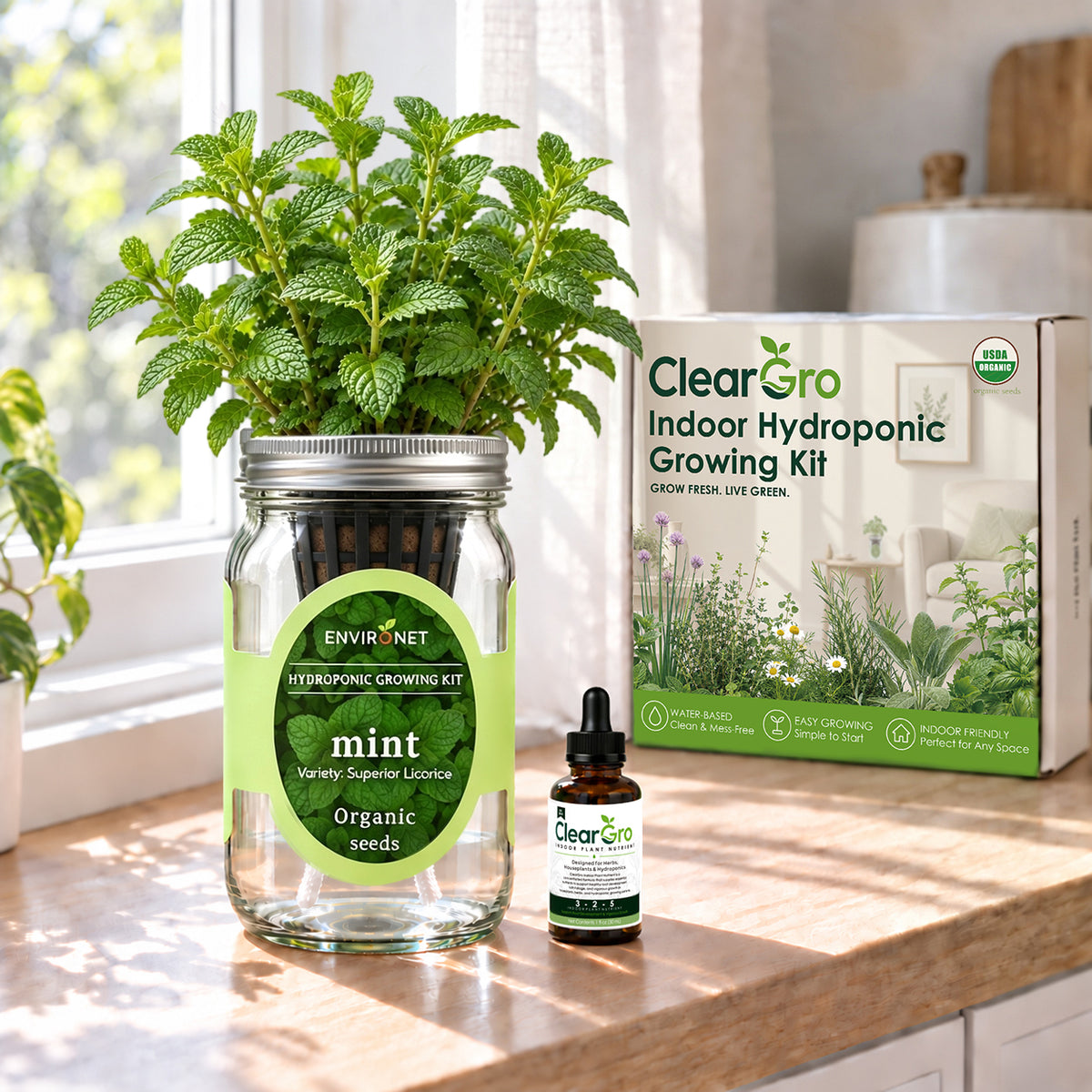 Mint - Superior Licorice Hydroponic Kit (Organic Seeds)
