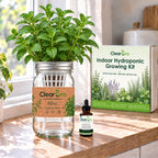 Mint - Common Mint Hydroponic Kit