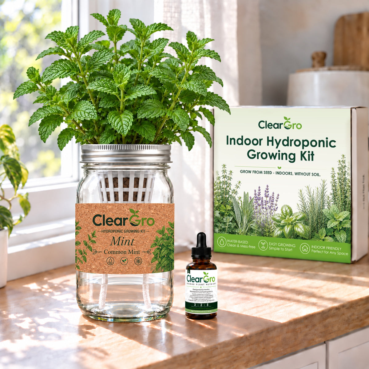 Mint - Common Mint Hydroponic Kit
