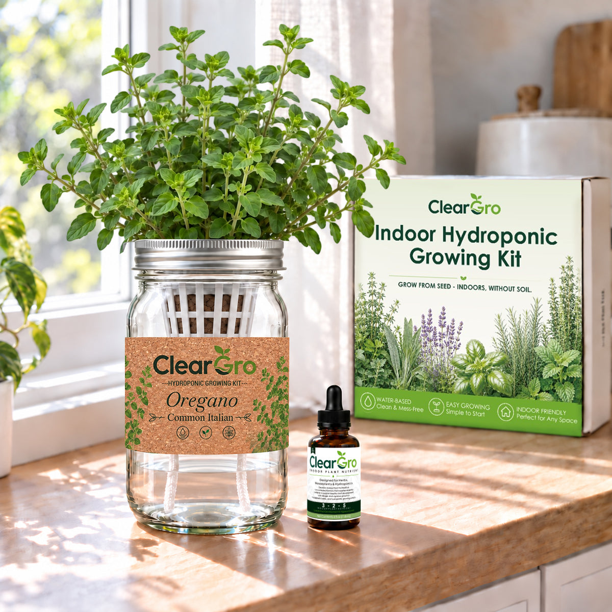Oregano - Common Italian Hydroponic Kit
