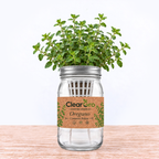 Oregano - Common Italian Hydroponic Kit