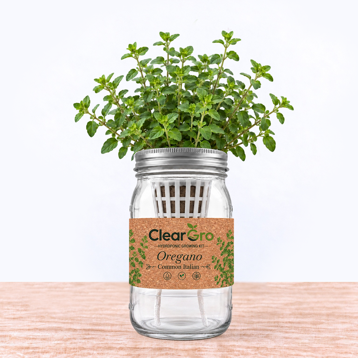 Oregano - Common Italian Hydroponic Kit