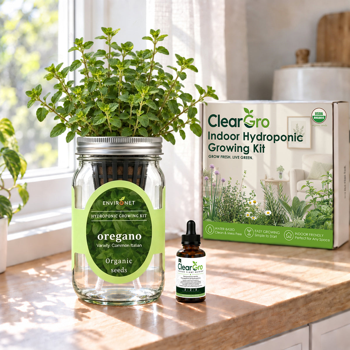 Oregano - Common Italian Hydroponic Kit (Organic Seeds)