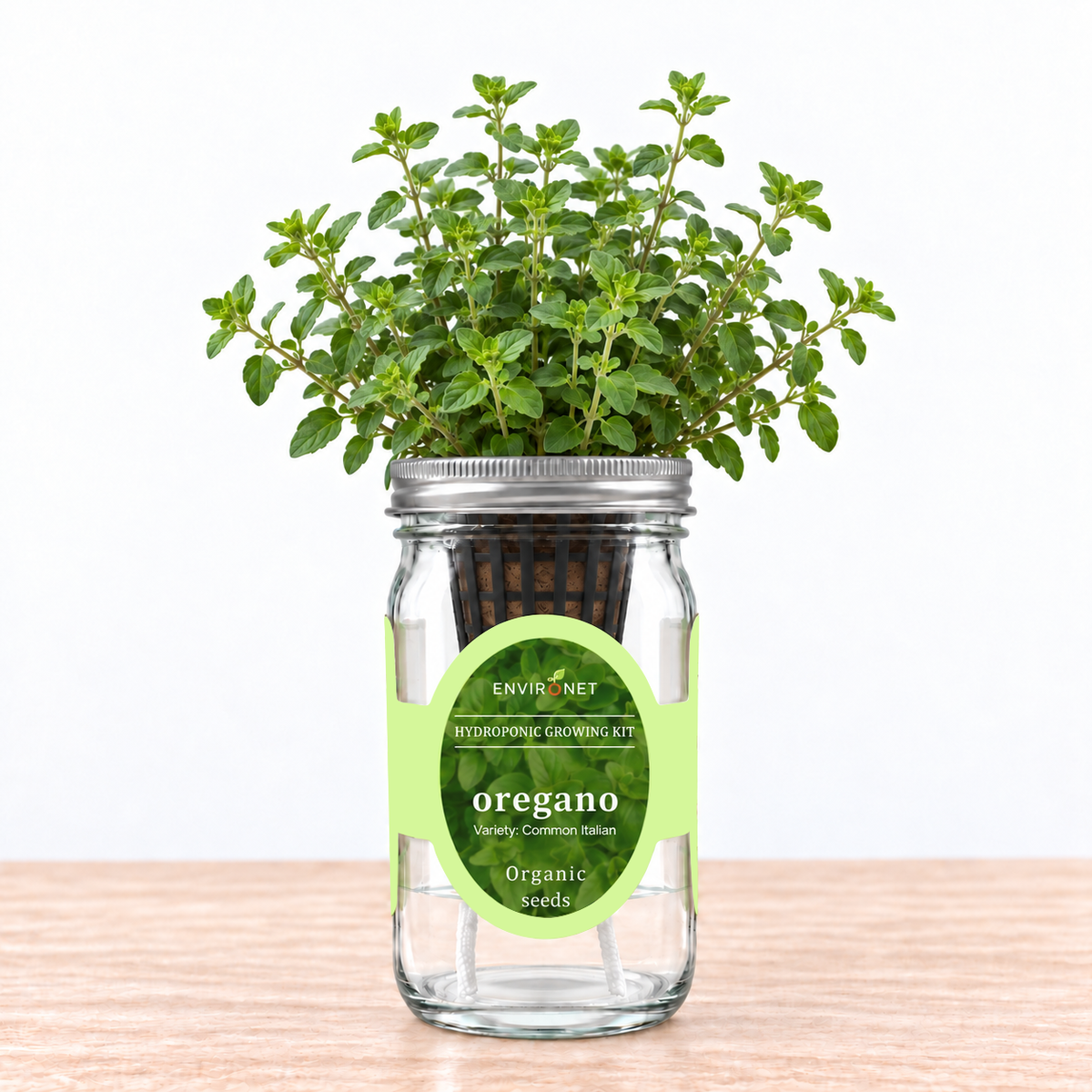 Oregano - Common Italian Hydroponic Kit (Organic Seeds)