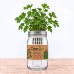 Parsley - Giant of Italy Hydroponic Kit