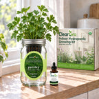Parsley - Giant of Italy Hydroponic Kit (Organic Seeds)