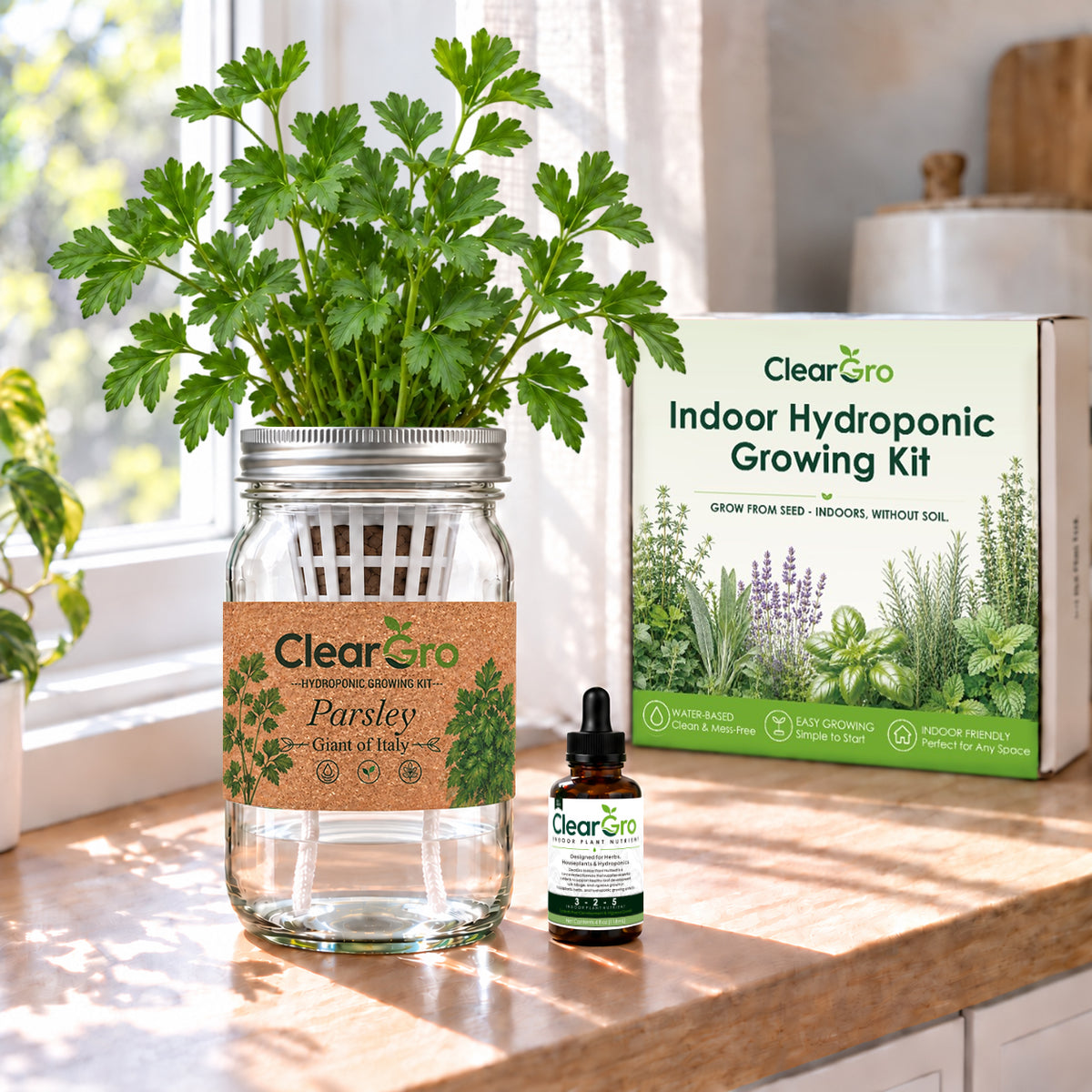 Parsley - Giant of Italy Hydroponic Kit