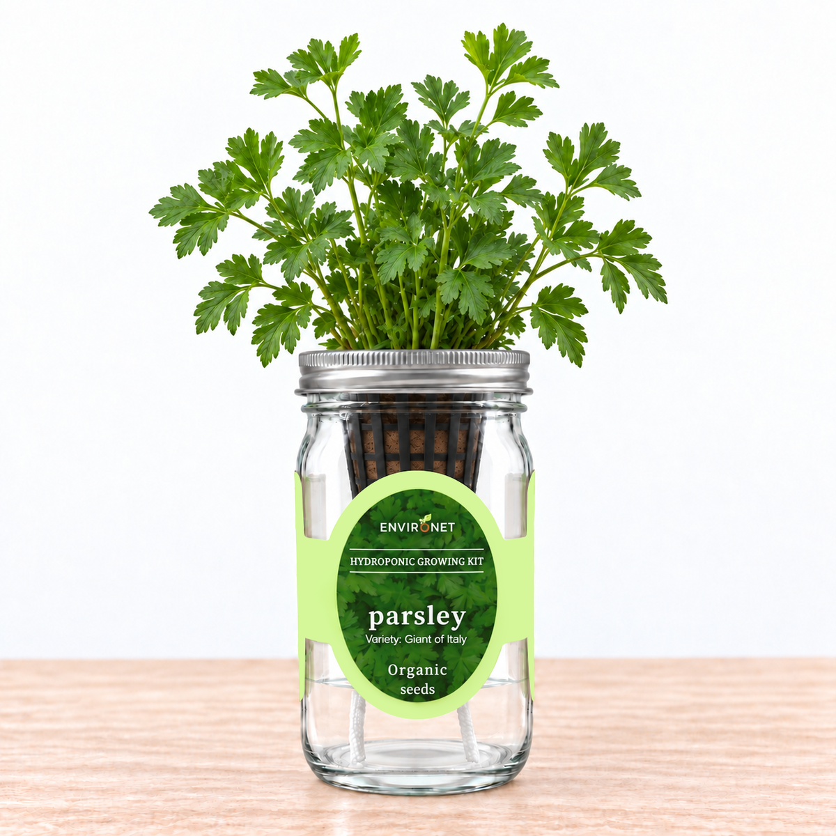 Parsley - Giant of Italy Hydroponic Kit (Organic Seeds)