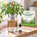 Pepper - Sweet Pickle Hydroponic Kit