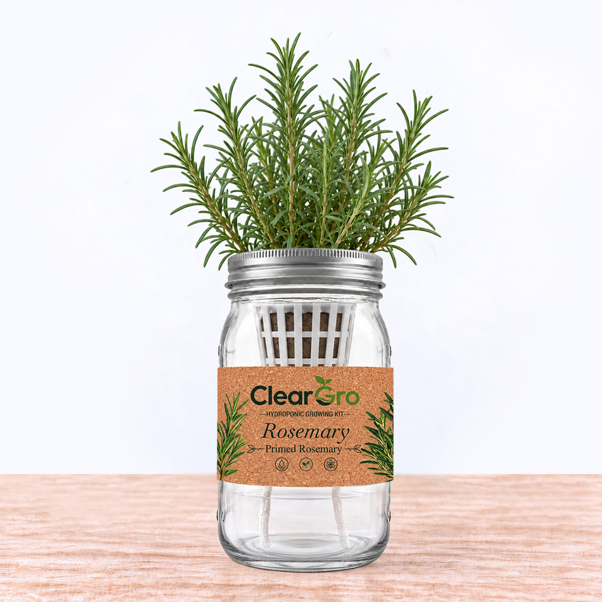 Rosemary - Primed Rosemary Hydroponic Kit
