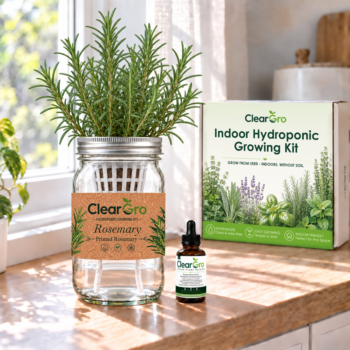 Rosemary - Primed Rosemary Hydroponic Kit