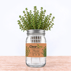 Thyme - German Winter Hydroponic Kit